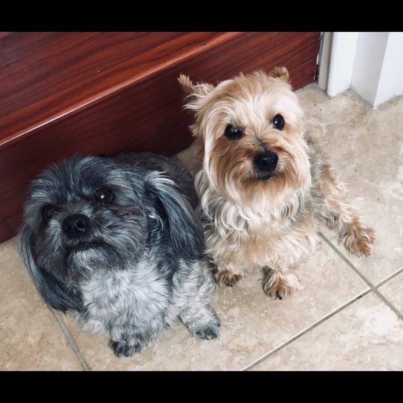 🌸🌸Meet your Posher, Sandra Lee🌸🌸💕. - Picture 5 of 16